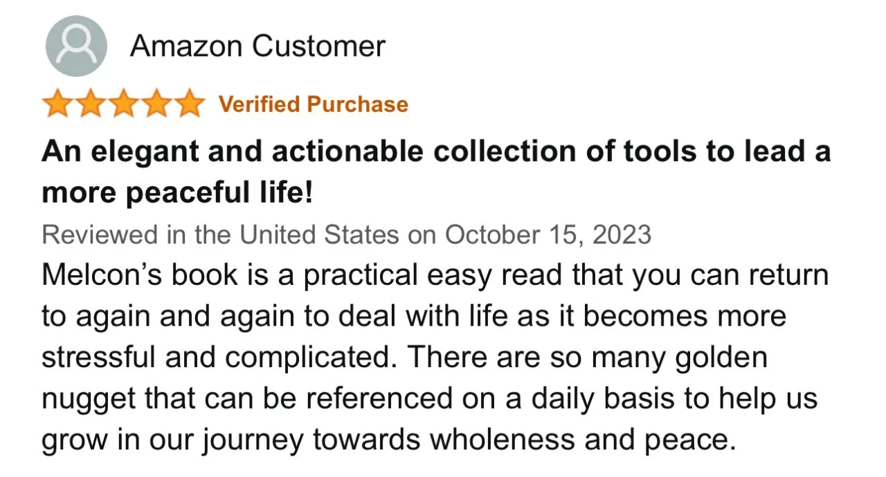 Amazon-Review-Lynn-1280x690.jpeg